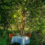Tatil Evi Wild Boar - Romantic Getaway *
