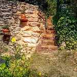 Wild Boar - Romantic Getaway Tatil Evi