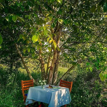 Semesterbostad Wild Boar - Romantic Getaway *
