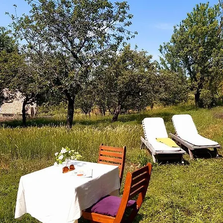 Wild Boar - Romantic Getaway Semesterbostad *