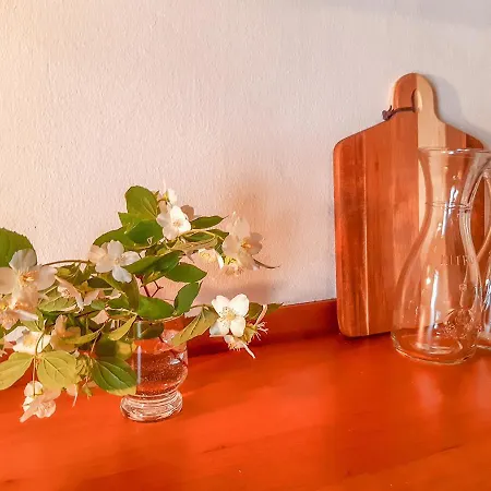 Wild Boar - Romantic Getaway Semesterbostad Badacsonytomaj