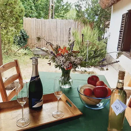 Wild Boar - Romantic Getaway