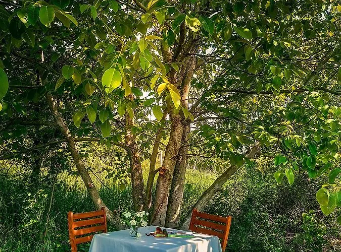 펜션 Wild Boar - Romantic Getaway *