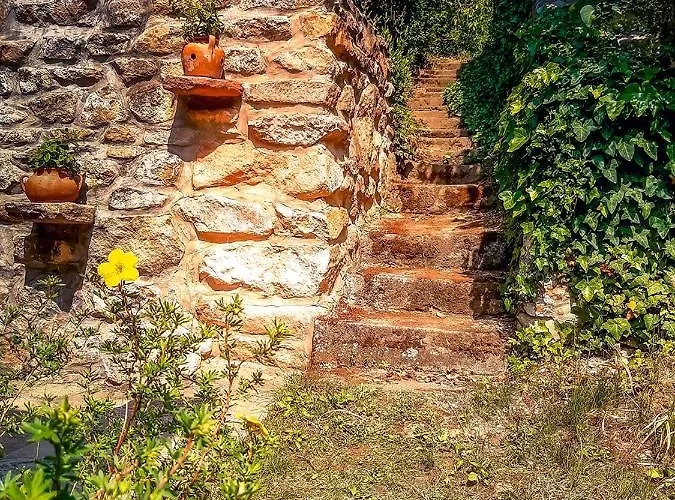 Wild Boar - Romantic Getaway Tatil Evi