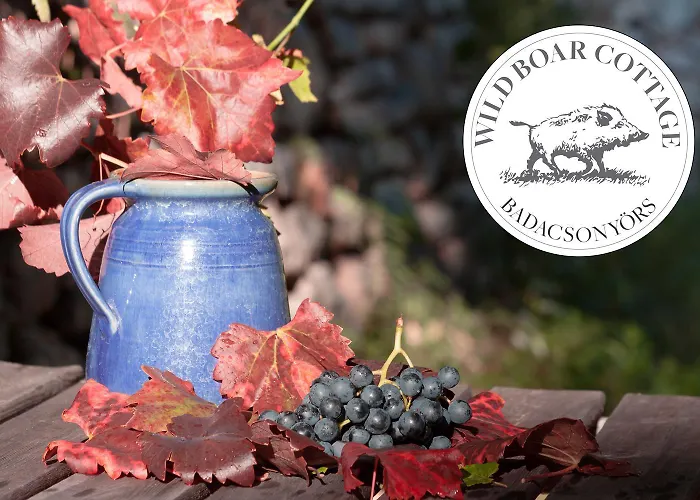 Tatil Evi Wild Boar - Romantic Getaway Badacsonytomaj